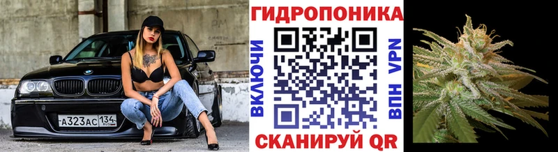 МАРИХУАНА ГИДРОПОН  Сретенск 